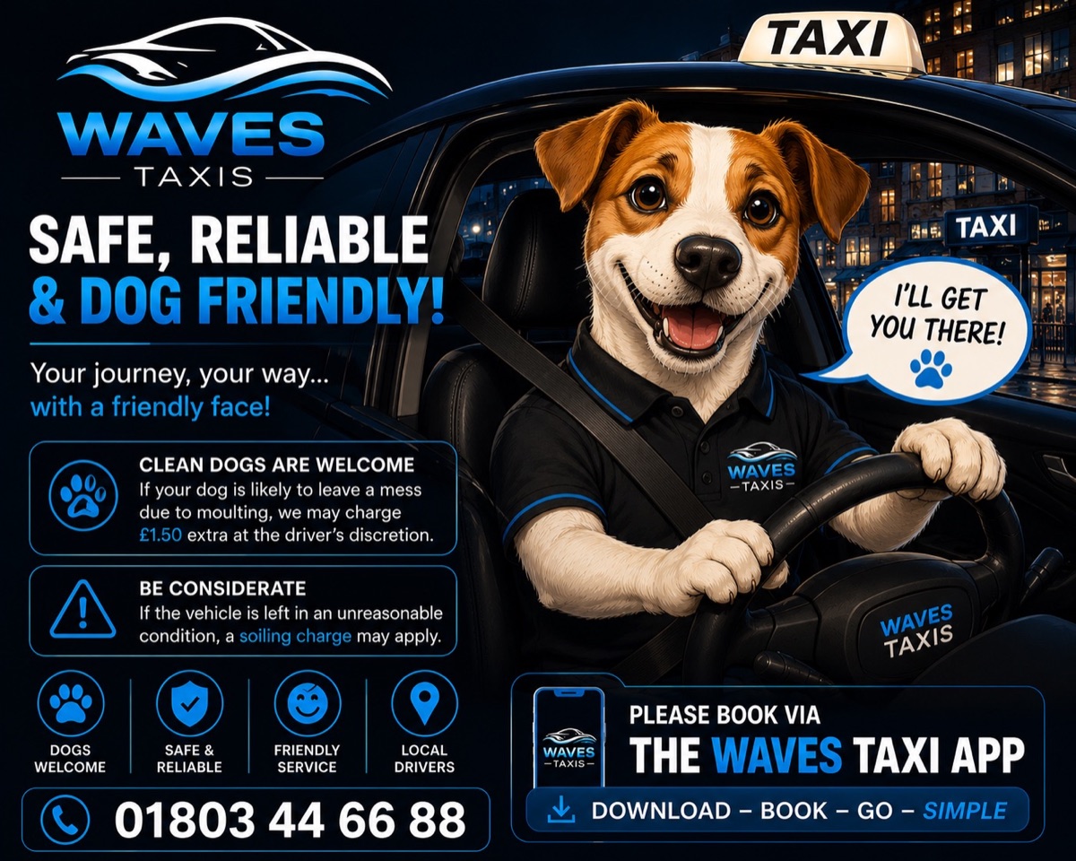 Waves Taxis dog-friendly travel graphic showing a dog in a taxi